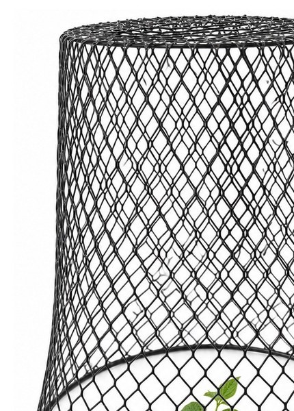 Chicken Wire Cloches & Plant Protectors