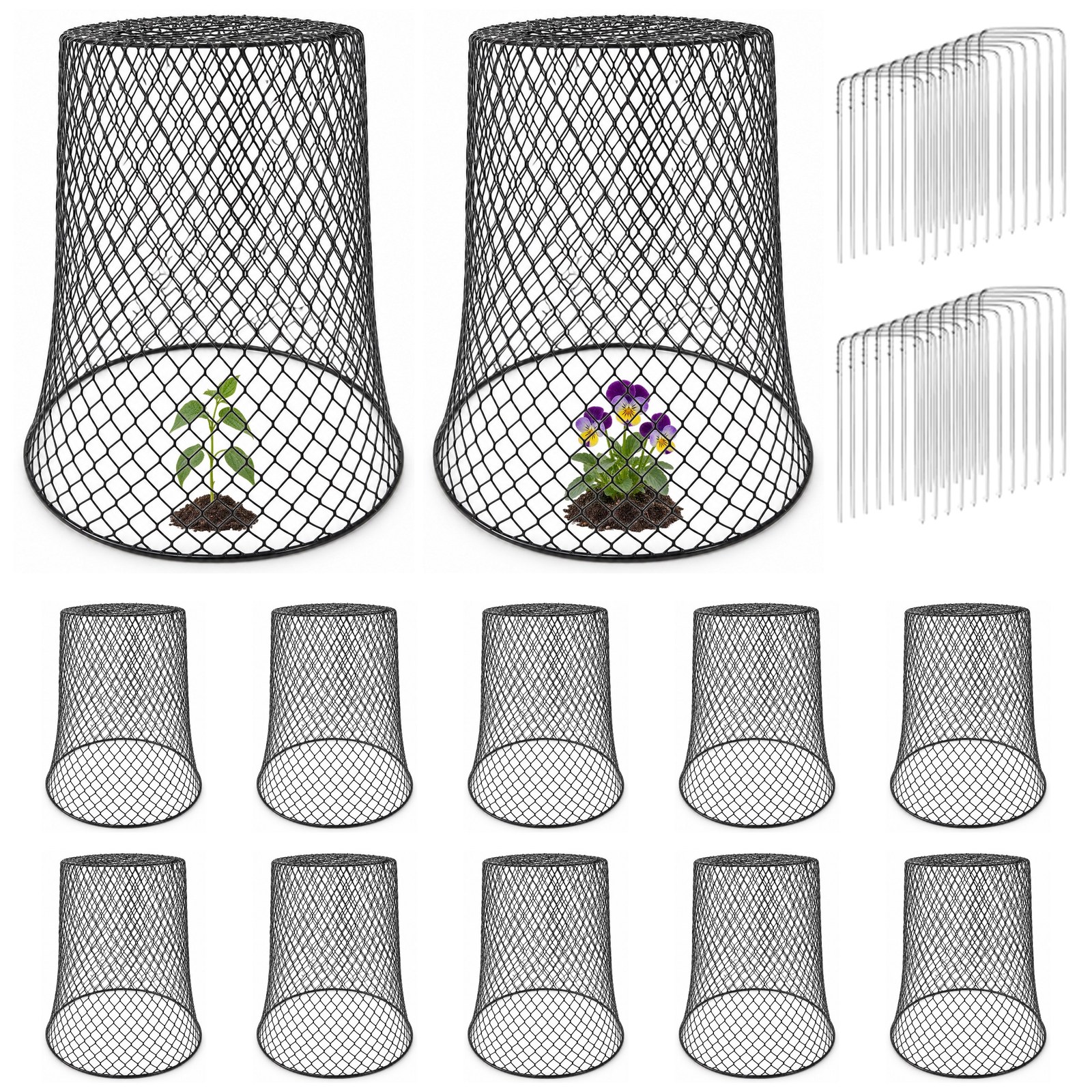 Chicken wire cloches with U-shaped garden stakes on a white background