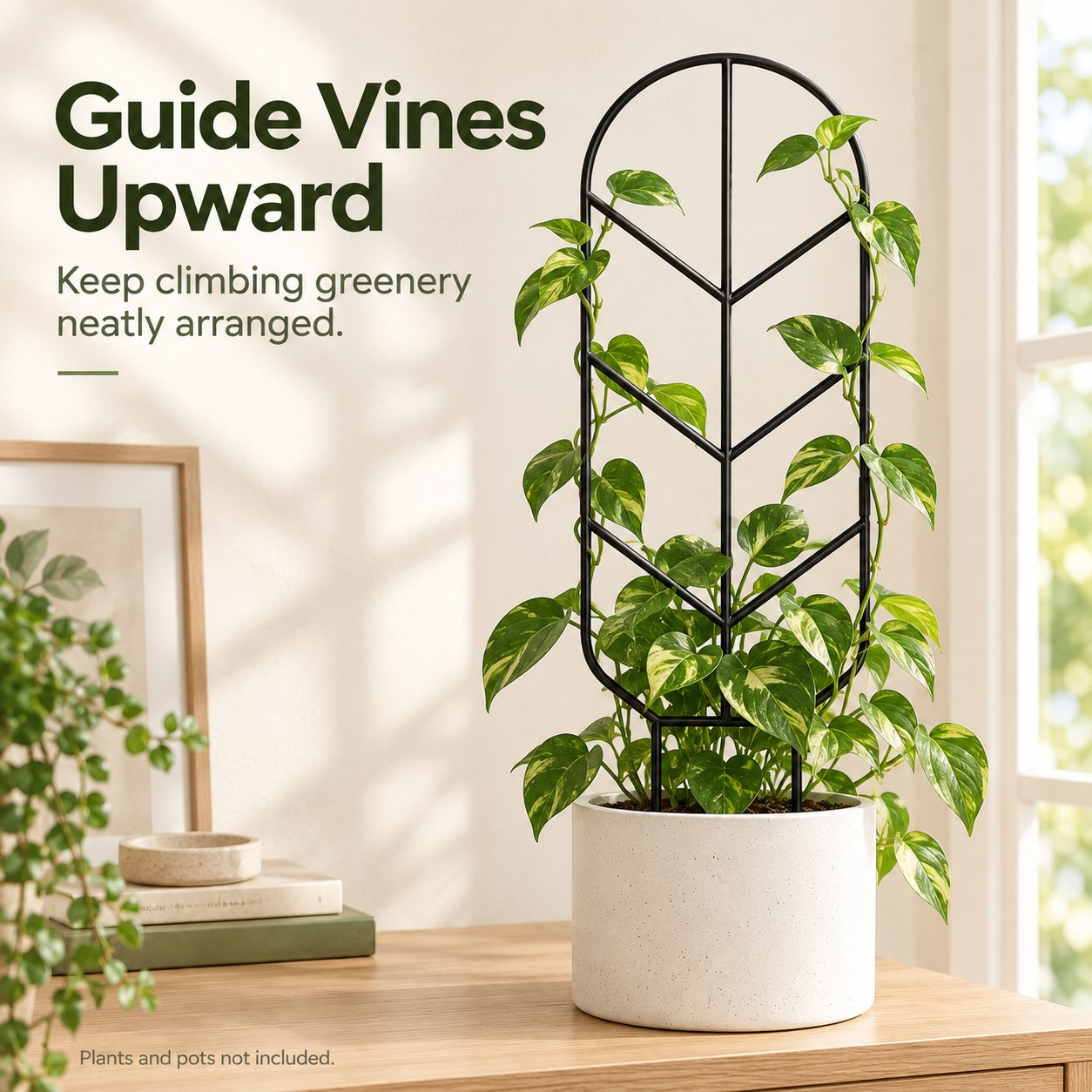 Garden Obelisk Trellis