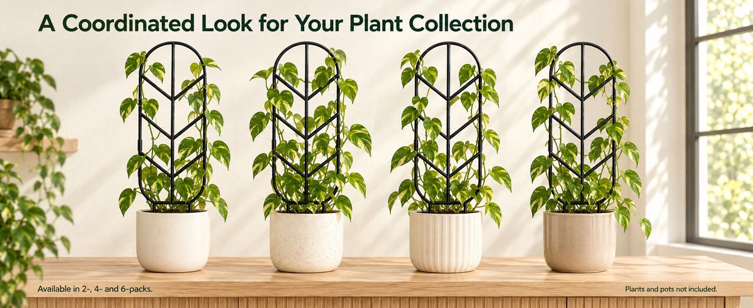 A coordinated look for your plant collection: four potted plants with matching obelisk trellises