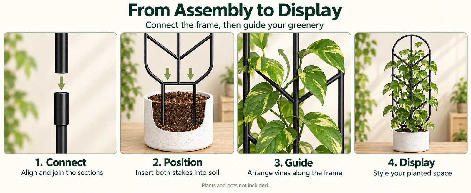 From assembly to display: connect the frame, position in soil, guide the vines, style your space