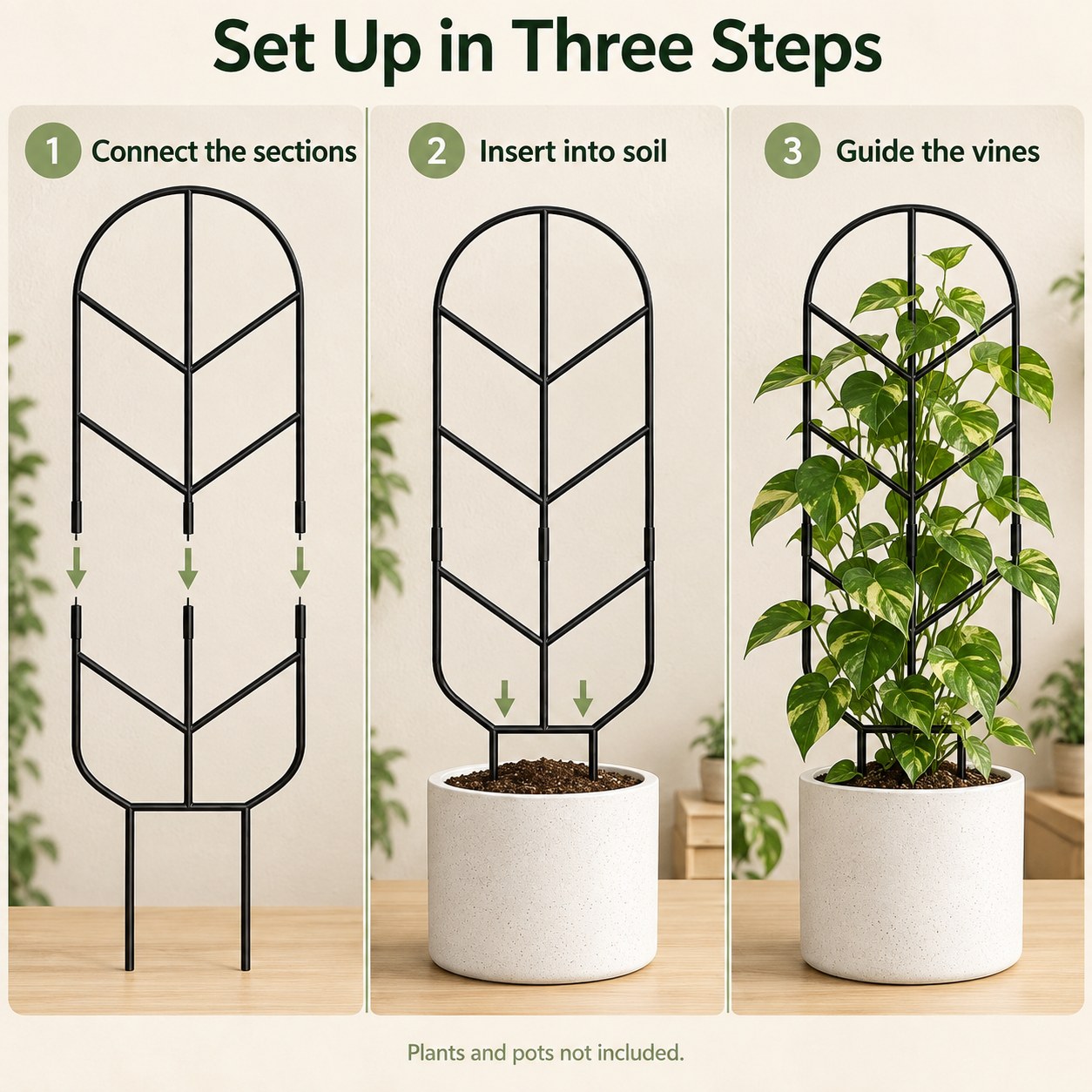 Set up in three steps: connect the sections, insert into soil, guide the vines